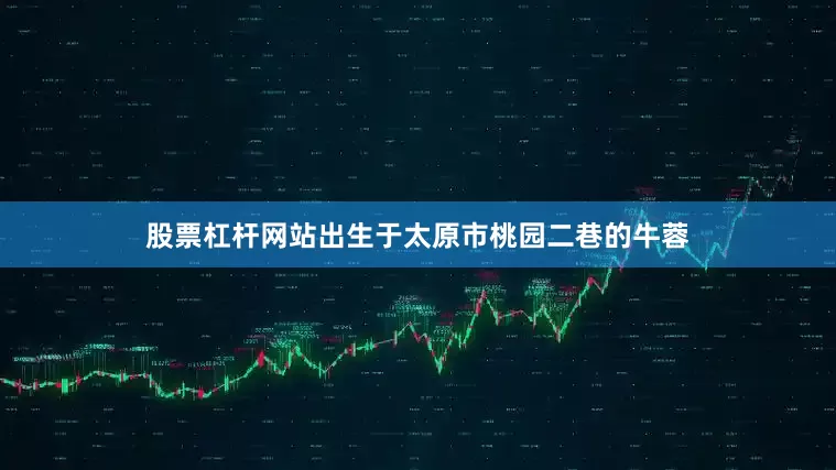 股票杠杆网站出生于太原市桃园二巷的牛蓉