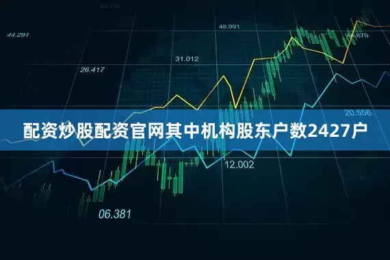 配资炒股配资官网其中机构股东户数2427户