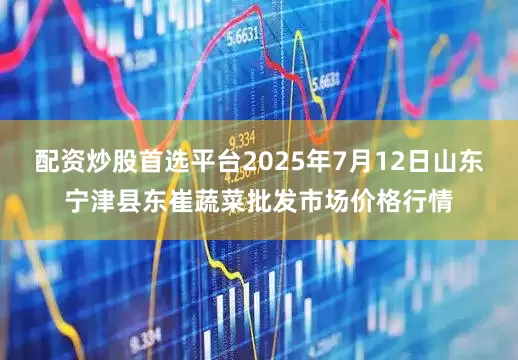 配资炒股首选平台2025年7月12日山东宁津县东崔蔬菜批发市场价格行情